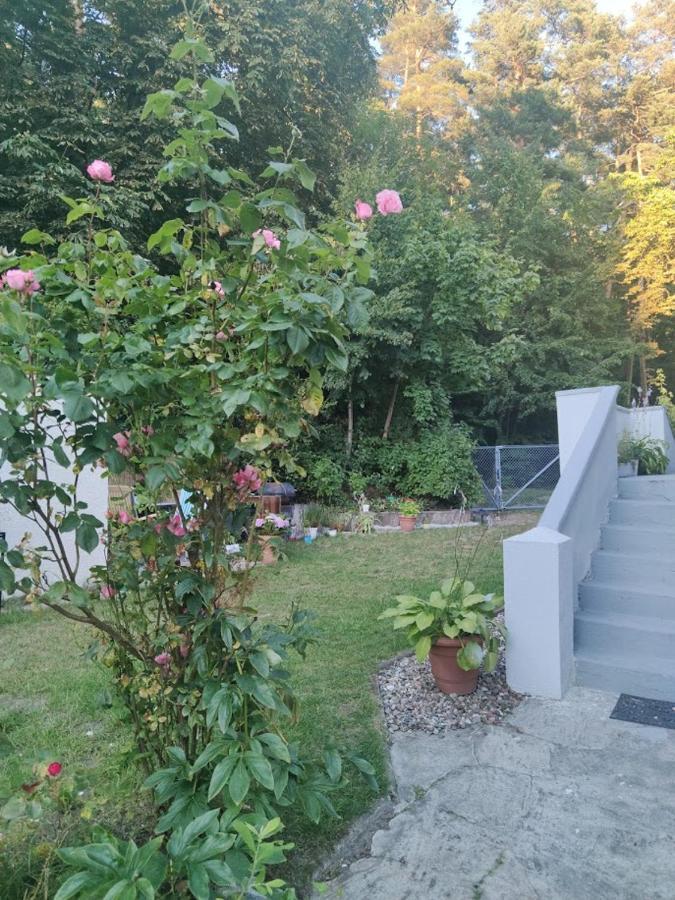 Apartament w sąsiedztwie lasu 1800m od morza Sopot Zewnętrze zdjęcie
